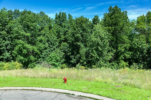 Lot 398, Clarkston, MI